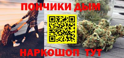 индика Ливны