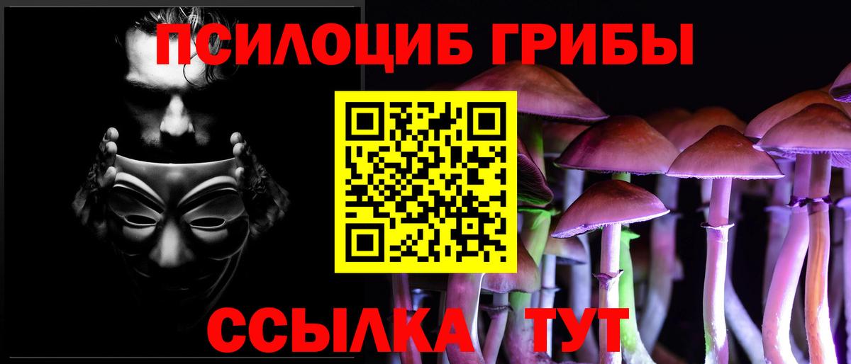 Псилоцибиновые грибы GOLDEN TEACHER  где продают   Тимашёвск  Вход с VPN  Галлюциногенные грибы мицелий 